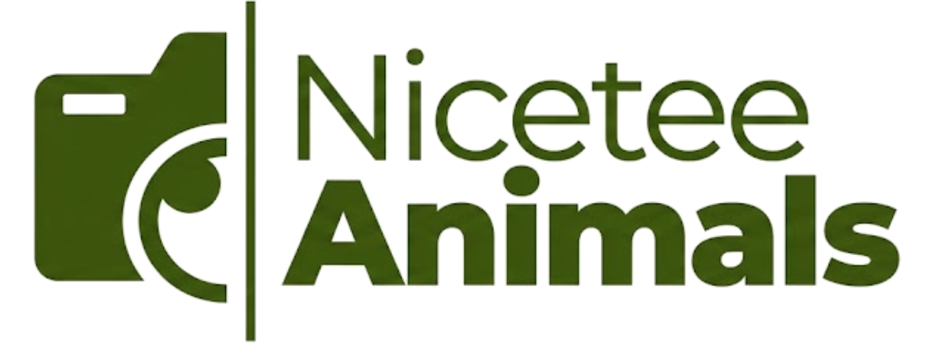 Niceteeanimals